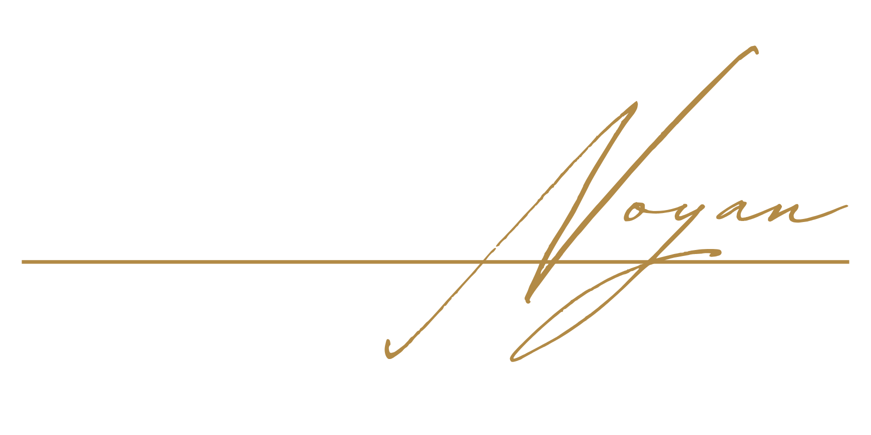GÖRKEM NOYAN Kütüphane Yönetim Sistemi Muhasebe Sistemi